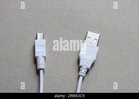 Mini-USB-Datenübertragungskabel Kameras und Camcorder Stockfoto