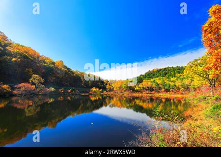 Shiga Kogen im Herbst, Ichinuma und Herbstlaub Stockfoto