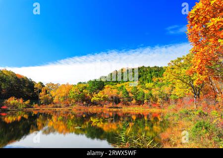 Shiga Kogen im Herbst, Ichinuma und Herbstlaub Stockfoto