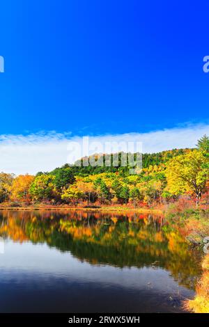 Shiga Kogen im Herbst, Ichinuma und Herbstlaub Stockfoto