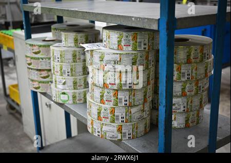 Illustration einer Produktionsstätte zur Verarbeitung von Gemüsekonserven in der Bretagne, Frankreich, am 19. September 2023. Diese Gemüsedosen sind für große Lebensmitteleinzelhändler und französische Supermärkte wie Super U, Carrefour und Monoprix bestimmt. Foto: Tomas Stevens/ABACAPRESS.COM Stockfoto