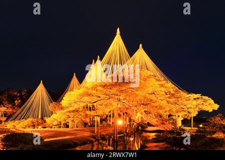 Light-up of Kenrokuen in Hokuriku-Kanazawa Kenrokuen Garden in winter Stock Photo