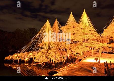 Kanazawa, Hokuriku-Kanazawa Kenrokuen erleuchtete im Winter Stockfoto