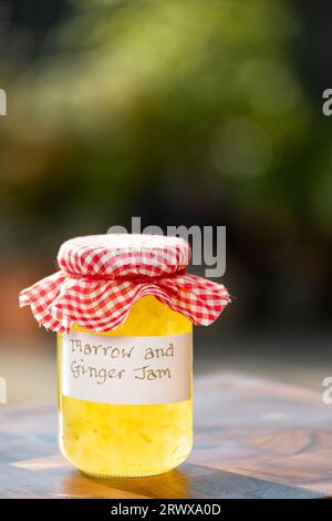 Gläser mit selbstgemachtem Mark und Ingwermarmelade. Die Glasgläser haben klare handschriftliche Etiketten und jedes Glas hat eine Decke aus Gingham-Stoff. Stockfoto