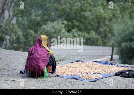 Kalash-Frau im Dorf Balangkuru Stockfoto