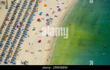 Luftblick, Strandleben mit Sonnenliegen und Sonnenschirmen, Palmira Strand am Passeig Maritim de Palmira, Playa Palmira, Peguera, Calvia, Balearen, Ma Stockfoto