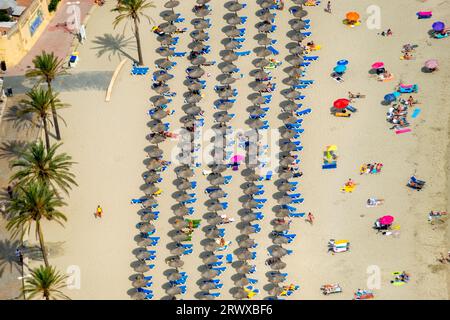 Luftblick, Strandleben mit Sonnenliegen und Sonnenschirmen, Palmira Strand am Passeig Maritim de Palmira, Playa Palmira, Peguera, Calvia, Balearen, Ma Stockfoto