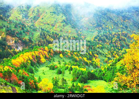 Autumn leaves at Nozoki in Shiga Kogen in autumn Stock Photo