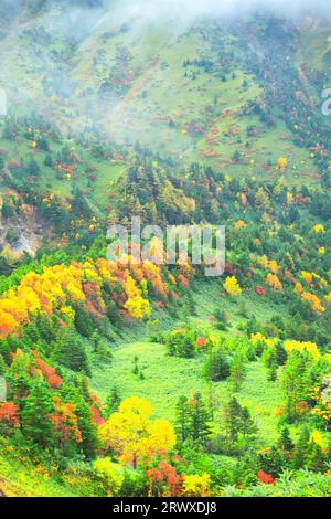 Autumn leaves at Nozoki in Shiga Kogen in autumn Stock Photo