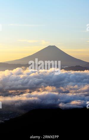 Fuji in einem Wolkenmeer in der Morgensonne Stockfoto