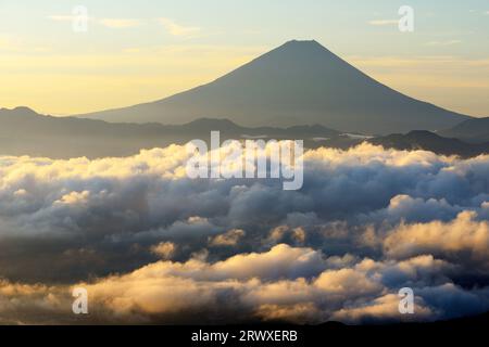 Fuji in a sea of clouds bathed in morning sun Stock Photo