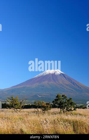 Fuji, silbernes Gras und blauer Himmel im Herbst aus dem Asagiri Highlands, Präfektur Shizuoka Stockfoto