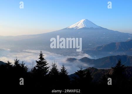 Mt. Fuji und Wolkenmeer bei Tagesanbruch in der Präfektur Yamanashi vom Shindo Pass Stockfoto