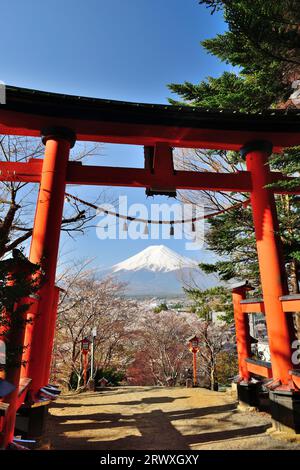 Das Torii-Tor und Mt. Fuji (Frühling) im Niikurayama Sengen Park, Yamanashi Stockfoto