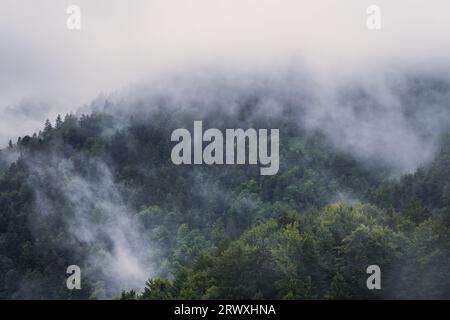 Nebelige Berge und Waldlandschaft während des stimmungsvollen Sonnenaufgangs mit der besten mystischen Atmosphäre im Triglavski-Nationalpark, Slowenien, Europa. Stockfoto