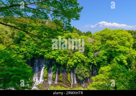 Shiraito Falls in frischem Grün, Präfektur Shizuoka und Mt. Fuji von der Aussichtsplattform Stockfoto