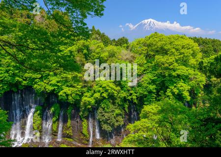 Shiraito Falls in frischem Grün, Präfektur Shizuoka und Mt. Fuji von der Aussichtsplattform Stockfoto