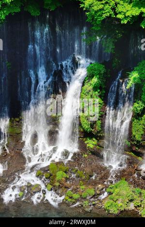 Frische grüne Shiraito-Fälle von einer Aussichtsplattform in der Präfektur Shizuoka, Japan Stockfoto