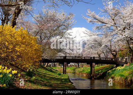 YamanashiFuji from Shinnashogawa River where cherry blossoms are in bloom Stock Photo