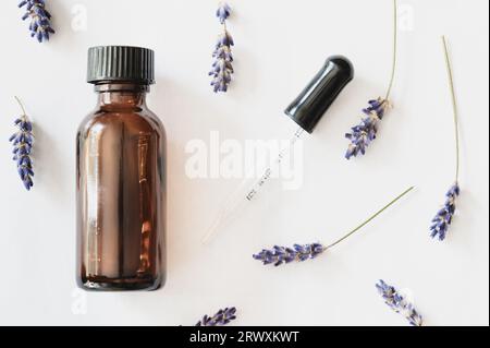 Kleine braune Flasche mit Tropfer- und Lavendelblüten auf weißem Hintergrund Stockfoto