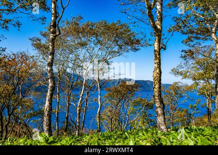 Mashu-See und Birkenbäume am äußeren Rand des Mt. Stockfoto