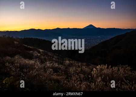 Mt. Fuji bei Sonnenaufgang und Silbergras im Herbst und Yamanashi Stadt Stockfoto