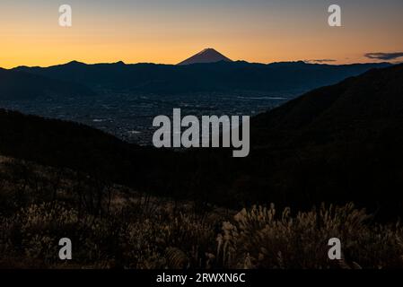 Mt. Fuji bei Sonnenaufgang und Silbergras im Herbst und Yamanashi Stadt Stockfoto