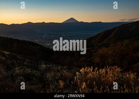 Mt. Fuji bei Sonnenaufgang und Silbergras im Herbst und Yamanashi Stadt Stockfoto