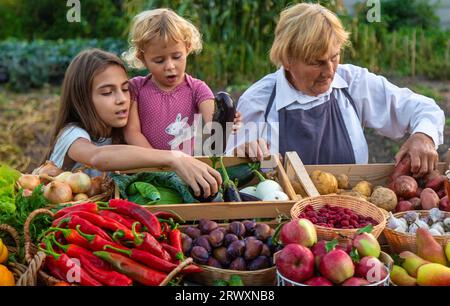 Großmutter und Enkelin verkaufen Gemüse und Obst auf dem Bauernmarkt. Selektiver Fokus. Essen. Stockfoto