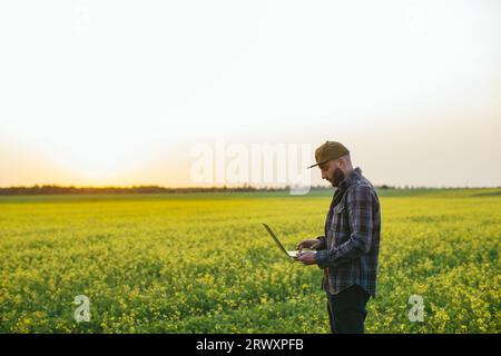 Landwirt, der Laptop, Tablet im Rapsfeld hält, um ein Düngeprotokoll-Programm zu verwenden. Wachstum, Produktion und Kontakt mit dem Online-Kunden. Stockfoto
