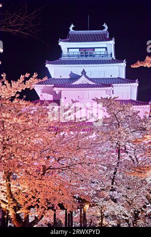 Nächtlicher Blick auf das Schloss Tsurugajo in blühender Kirschblüte Stockfoto