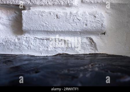 Weißer gemalter Backsteinhintergrund mit Textur und Vordergrund aus unscharfem dunklem Holz. Hintergründe und Vorlagen von Konzepten. Stockfoto