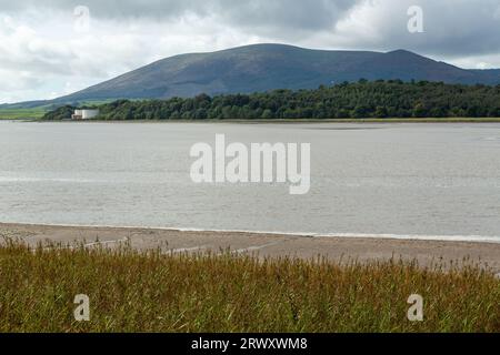 Der Schlamm flattert am Nith in der Nähe von Caerlaverock Castle mit Criffel Hill in der Ferne, Dumfries und Galloway, Schottland Stockfoto