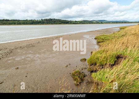 Die Schlammflächen entlang des Nith bei Caerlaverock Castle, Dumfries und Galloway, Schottland Stockfoto