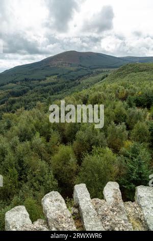 Criffel Hill vom Waterloo Monument in der Nähe von New Abbey Dumfries, Schottland Stockfoto