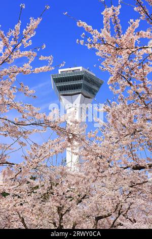 Goryokaku Tower and cherry blossoms, Hokkaido Stock Photo