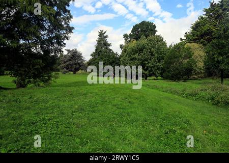 Arboretum und offener Park, Bute Park, Cardiff. September 2023 Stockfoto