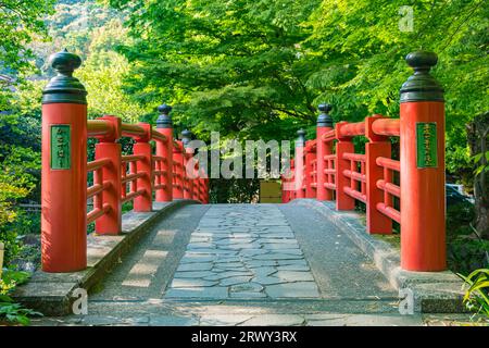 Shuzenji Onsen Kaede-Bashi-Brücke im frischen Grün des Frühlings (Landschaft von Süden nach Norden) Stockfoto