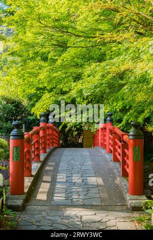 Shuzenji Onsen Kaede-Bashi-Brücke im frischen Grün des Frühlings (Landschaft von Süden nach Norden) Stockfoto