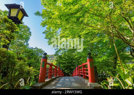 Shuzenji Onsen Kaede-Bashi-Brücke im frischen Grün des Frühlings (Landschaft von Süden nach Norden) Stockfoto