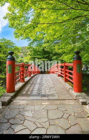 Shuzenji Onsen Kaede-Bashi-Brücke im frischen Grün des Frühlings (Landschaft von Süden nach Norden) Stockfoto