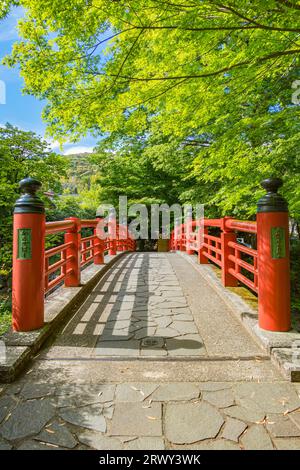 Shuzenji Onsen Kaede-Bashi-Brücke im frischen Grün des Frühlings (Landschaft von Süden nach Norden) Stockfoto