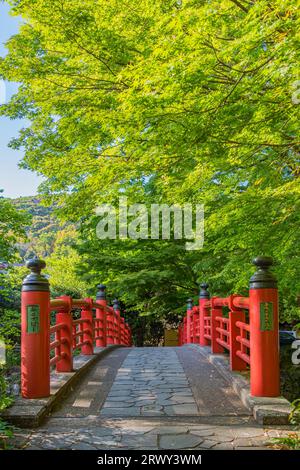 Shuzenji Onsen Kaede-Bashi-Brücke im frischen Grün des Frühlings (Landschaft von Süden nach Norden) Stockfoto