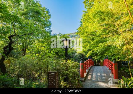 Shuzenji Onsen Kaede-Bashi-Brücke im frischen Grün des Frühlings (Landschaft von Süden nach Norden) Stockfoto