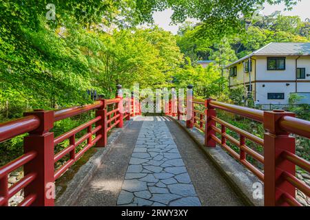 Shuzenji Onsen Kaede-Bashi-Brücke im frischen Grün des Frühlings (Landschaft von Norden nach Süden) Stockfoto