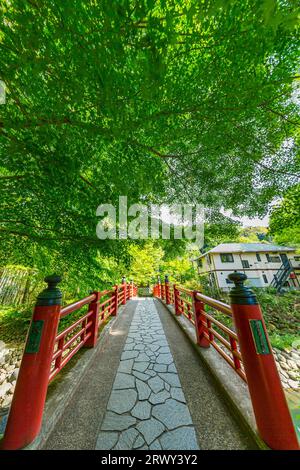 Shuzenji Onsen Kaede-Bashi-Brücke im frischen Grün des Frühlings (Landschaft von Norden nach Süden) Stockfoto