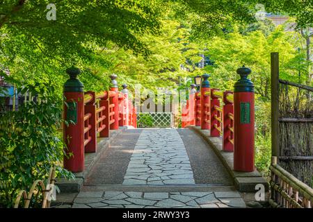 Shuzenji Onsen Kaede-Bashi-Brücke im frischen Grün des Frühlings (Landschaft von Norden nach Süden) Stockfoto