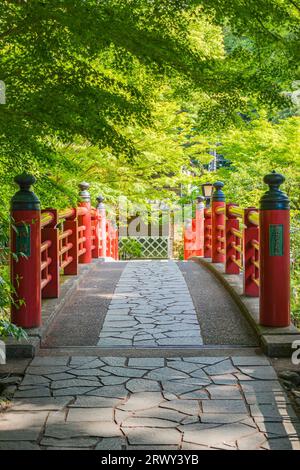 Shuzenji Onsen Kaede-Bashi-Brücke im frischen Grün des Frühlings (Landschaft von Norden nach Süden) Stockfoto