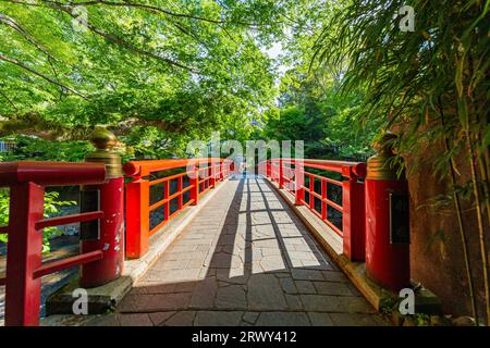 Shuzenji Onsen die Katsura Brücke leuchtet im frischen Grün des Frühlings (Landschaft von Norden nach Süden) Stockfoto