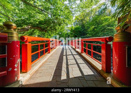 Shuzenji Onsen die Katsura Brücke leuchtet im frischen Grün des Frühlings (Landschaft von Norden nach Süden) Stockfoto